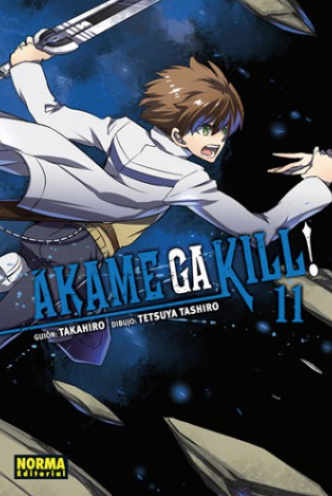 Akame Ga Kill! 11