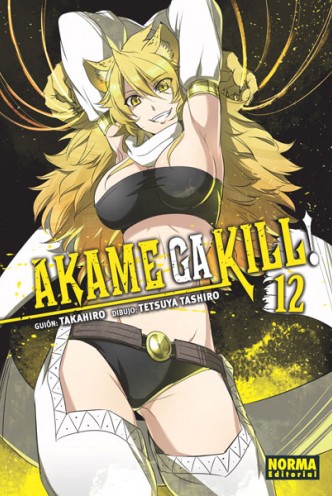 Akame Ga Kill! 12