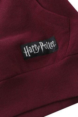 Harry Potter - Gryffindor Kids Hoodie