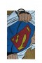 Clark Kent Doormat DC Comics