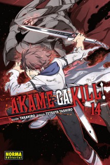 Akame Ga Kill! 14