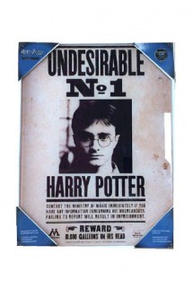 Harry Potter - Glass Poster Undesirable No. 1