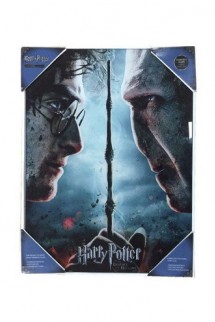 Harry Potter - Glass Poster Harry & Voldemort