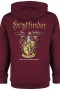 Harry Potter - Gryffindor Hoodie