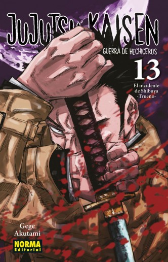 Jujutsu Kaisen 13