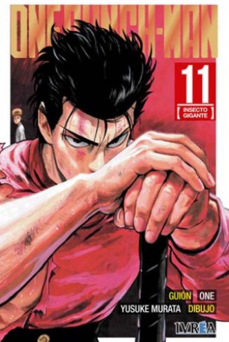 One Punch-Man 11