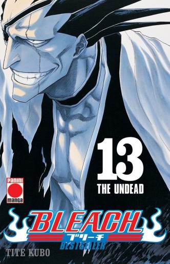 Bleach nº13