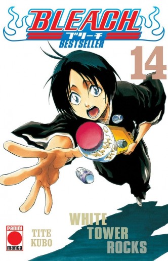 Bleach nº14