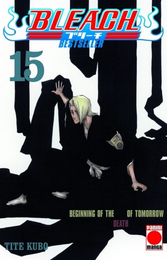 Bleach nº15