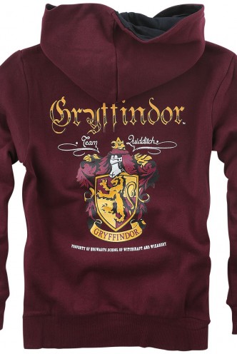 Sudadera niño Gryffindor Harry Potter por 19,90€ –